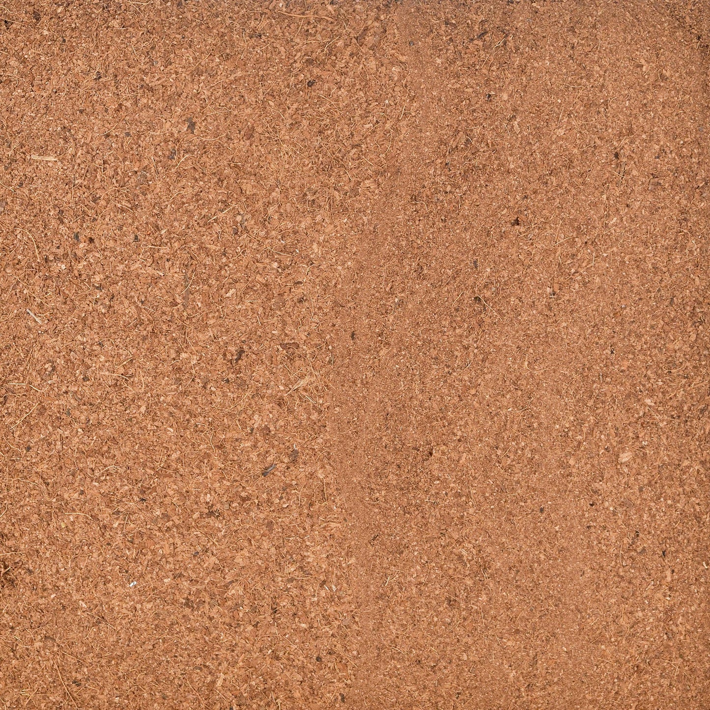 Coconut Coir Pith Block