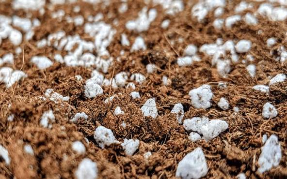 Substrates, Planters & More